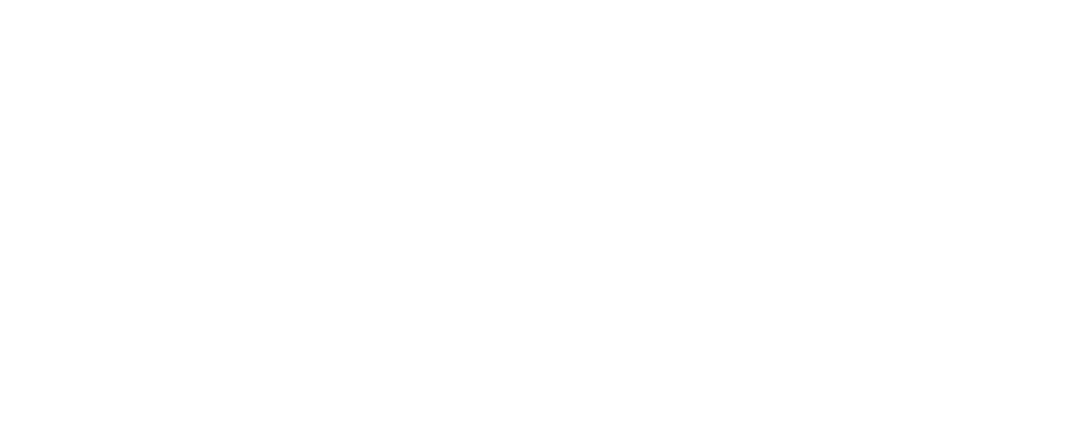 DTX 360 W